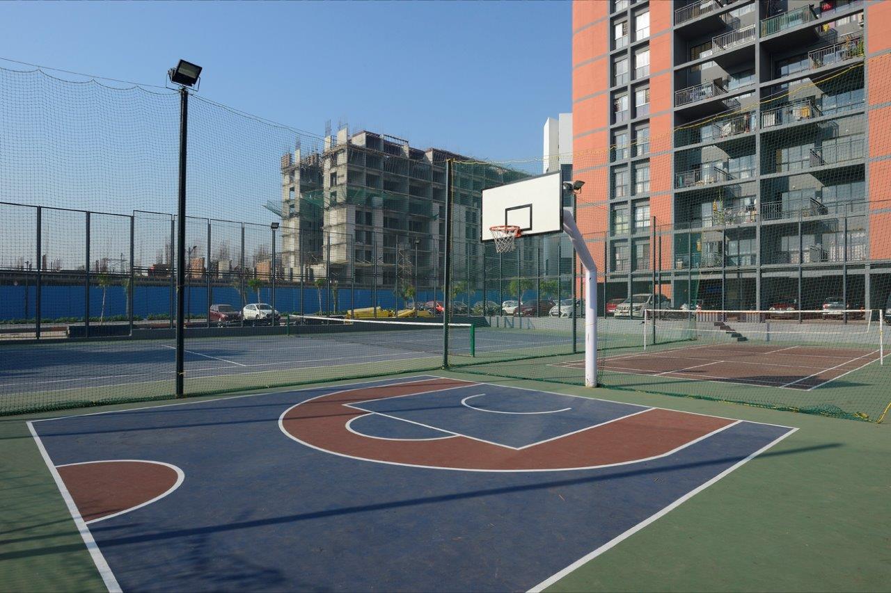 Basketball court