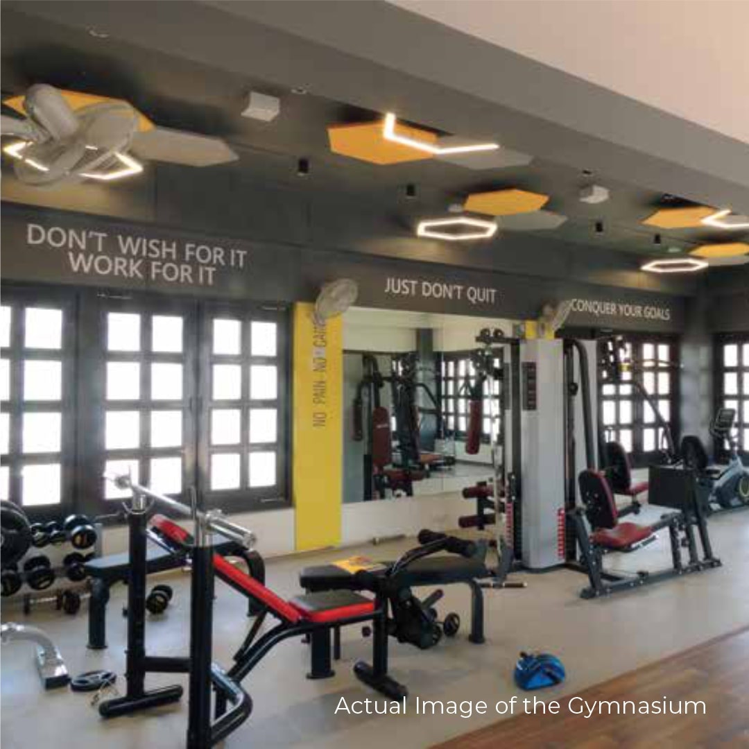 Gymnasium
